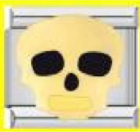 Gold Skull on Silver Charm