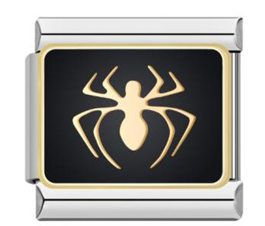 Silver with Black Spider Charm