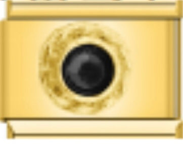 Gold and Black Charm